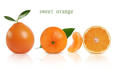 Wall Mural - sweet and juicy orange on a white mirror background