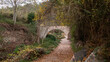 © MiguelAngel - Ancient bridge in the forest.