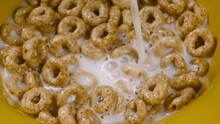 Pouring Milk Into Bowl Of Ring Corn Flakes. Healthy Breakfast Of Cheerios Cereals With Milk, Close Up. 4k, Slow Motion.