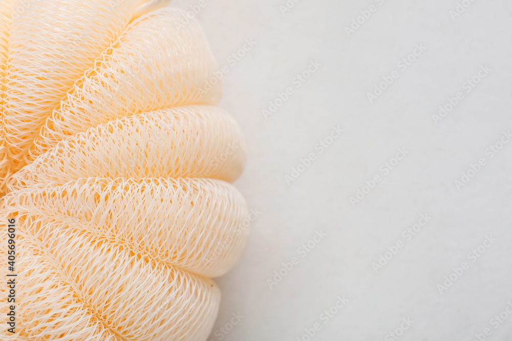 Loofah on light background, top view