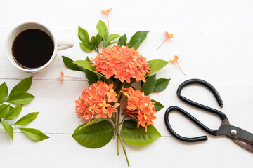 orange flowers spike flora of asia ,hot coffee arrangement with scissors arrangement flat lay style on background white wooden