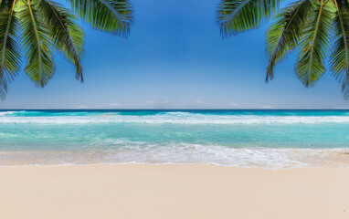 Wall Mural - Tropical beach with white sand, tropical sea and palms. Summer vacation and tropical beach concept.	