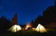 © anatoliy_gleb - Rear view, tourists are sitting by brightly blazing bonfire between the tents against the backdrop of mountain valley and pine forest under blue night sky with bright stars. Outdoor activity concept