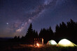 © anatoliy_gleb - Group of five tourists are standing around burning campfire near two tents against backdrop pine forest under starry sky. Dark night sky is strewn with bright stars and Milky Way is visible on it.