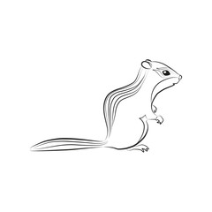 Wall Mural - Chipmunk. Outlined silhouette illustration of a sitting chipmunk isolated on white background. Vector 10 EPS.