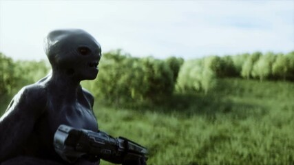 Wall Mural - Military alien with a weapon walks through the meadow against the background of the city. Realistic 4k animation.
