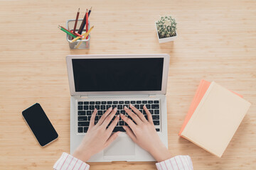 Wall Mural - Cropped top above high angle view photo portrait concept of female hands working on laptop typing at workplace indoors