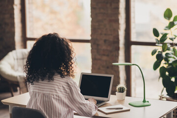 Wall Mural - Photo portrait back rear spine view of girl working on laptop in industrial office with big windows