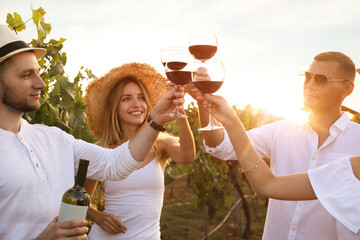 Friends clinking glasses of red wine in vineyard on sunny day