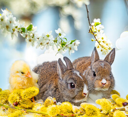 Wall Mural - spring animals