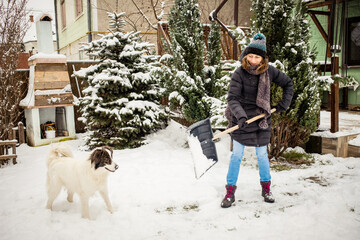 woman with shovel cleaning snow., white dog playing. Winter shoveling. Removing snow after blizzard