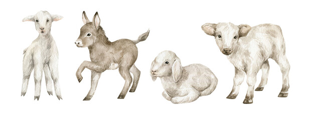 watercolor cute farm baby animals. goat, cow, sheep, donkey. young domestic animal, easter babies.