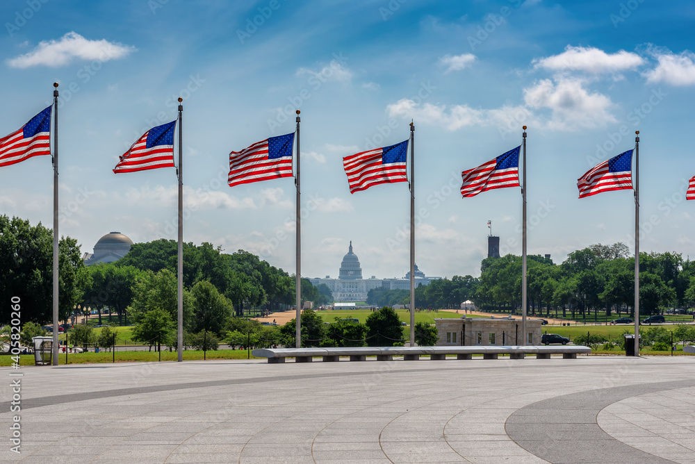 American flags at sunny day and Capitol Building in background in Washington DC, USA. - obrazy, fototapety, plakaty 