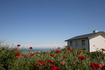 house in the field denmark beach