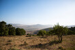 view of the Sicilian hinterland from the Nebrodi mountain range
