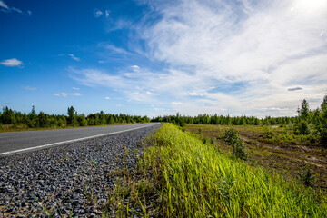 Sticker - road through the field