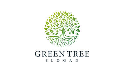 green tree logo design nature symbol leaf vector template