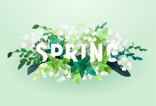 Floral Spring Design With White Flowers, Green Leaves, Eucaliptus And Succulents. Vector Illustration.