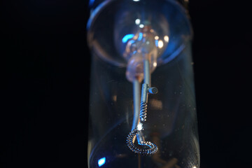 Sticker - Low angle shot of incandescent light bulb isolated on black background