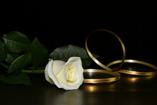 White Rose And Golden Ribbon On A Black Background.