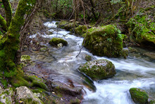 Beautiful View Of A Stream Flowing On The Mossy Rocks In A Forest