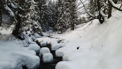 Poster - Mountain river  with covered with snow flowing through the winter forest in Bekidy Mountains, Poland