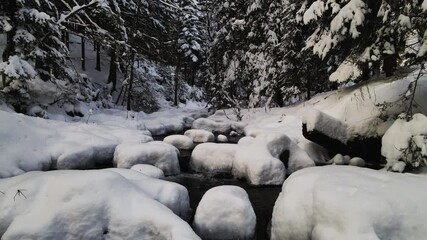 Poster - Mountain river  with covered with snow flowing through the winter forest in Bekidy Mountains, Poland