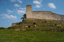 Low Angle Shot Of Brown And White Sheep Grazing Near The Remains Of An Old Building