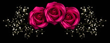Floral Ornament With Three Pink Roses And Branch With Little White Flowers. Isolated On Black Background