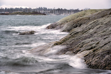 Poster - Cattle Point of Victoria, Vancouver Island, BC Canada