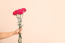 Hand With Bouquet Of Beautiful Carnations On Color Background