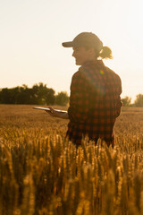 Wall Mural - A woman farmer examines the field of cereals and sends data to the cloud from the tablet. Smart farming and digital agriculture.	