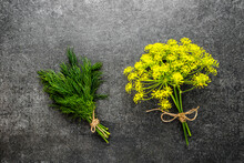 Freshly Harvested Herbs From The Garden. Fresh Dill Herb And Flower Of Dill On Black Background.