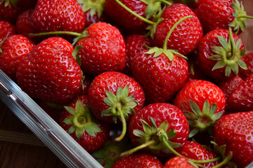 Canvas Print - Strawberries in the glass bowl. Freshly picked strawberry. Organic sweet berries. Village garden harvest.