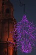 Low Angle View Of Illuminated Christmas Tree At Night
