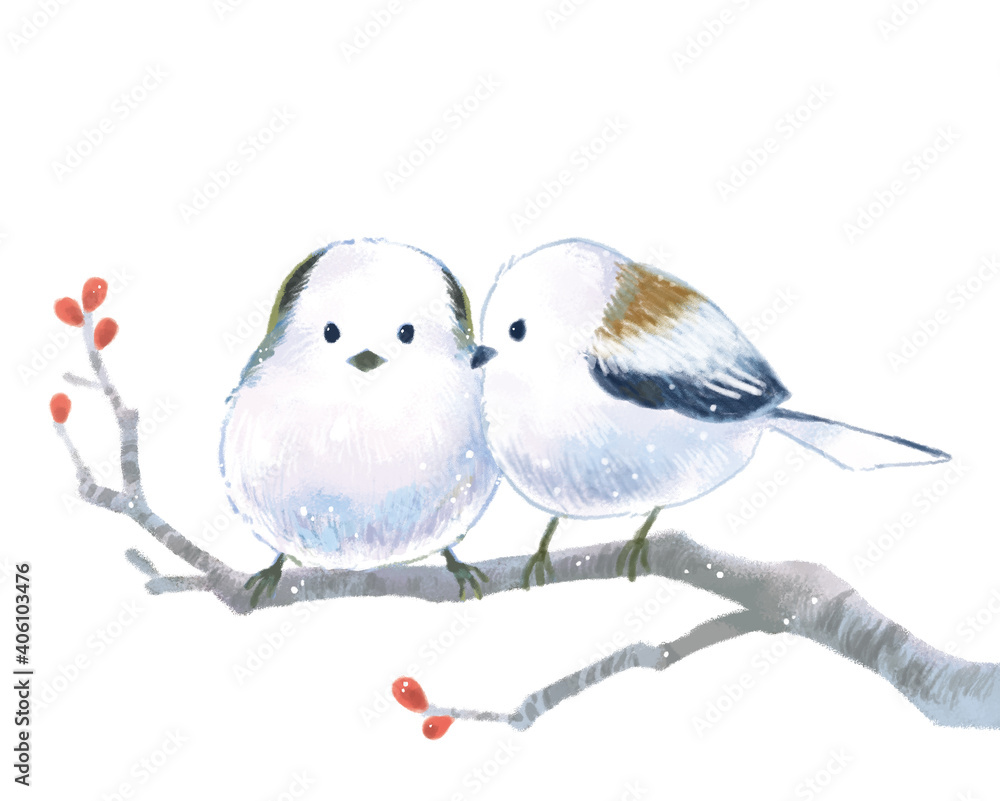 水彩タッチの雪の妖精 可愛いシマエナガのイラスト Stock Illustration