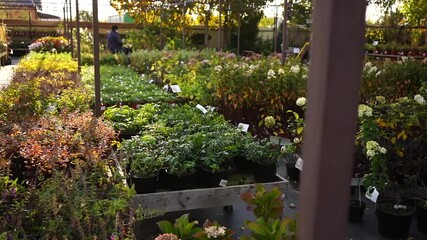 Aufkleber - Garden center with nursery. A row of flowers for landscape design