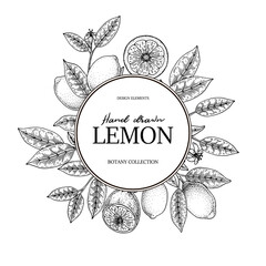 Wall Mural - Hand drawn vintage lemon round frame. Vector illustration in sketch style isolated on white. Print, package, card design.