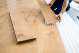 Fototapeta  - Hardwood Floor Renovation