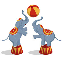 Vector Illustration Circus Elephants Playing Ball.