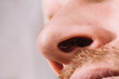 © andrey gonchar - Male nose close up bottom view - hair in the nostrils