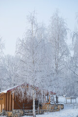 Wall Mural - Winter fresh snow covered trees
