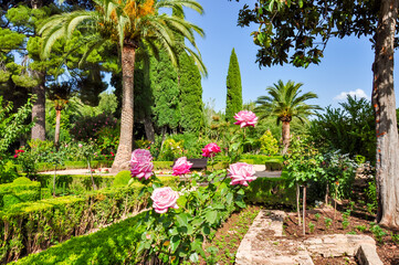 Wall Mural - Alhambra gardens in Granada, Spain