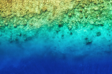 Wall Mural - view on the coral reef. azure water background from top view. summer seascape from air. travel and v
