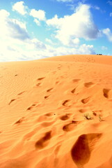 Poster - footprints in the sand