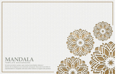 Wall Mural - Luxury white mandala background concept