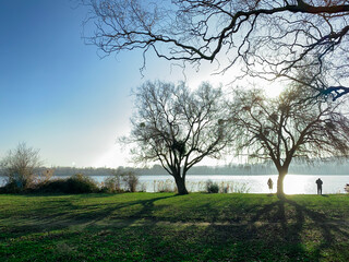 Winter scene in the countryside.  View of two trees without foliage by a lake. Shadows of the trunks on the lawn. Silhouette of a couple contemplating the landscape.