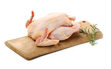 Poster - raw hen on a white background