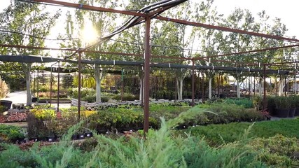 Aufkleber - Trees sway in the wind in the garden center nursery. Slow motion