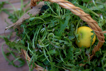 Sticker - Top view shot of a heap of Arugula plant and a Trifoliate orange in a basket